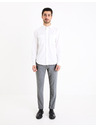 Celio Celio Gosi sive muške chinos hlače