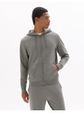 Celio Hoodie Fethree