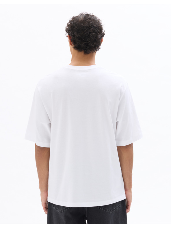 Celio Majica Looney Tunes