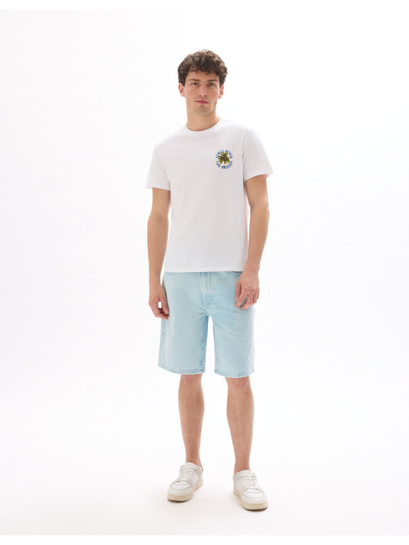 Celio Majica Mexpalmi