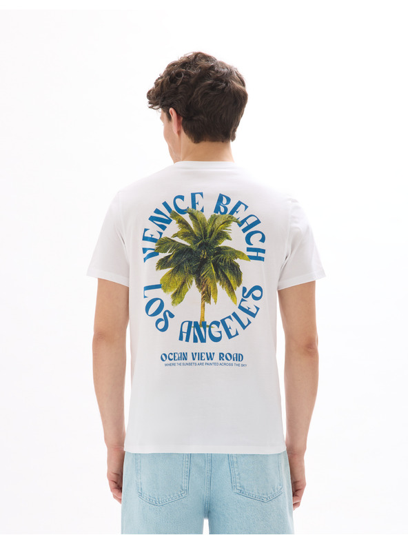 Celio Majica Mexpalmi