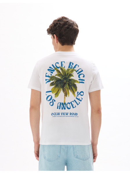 Celio Majica Mexpalmi