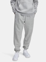 Under Armour Muške trenirke Under Armour UA Icon Fleece Jogger