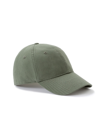 Celio Nicap šilterica