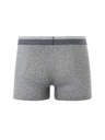 Celio Mibofibre boxer