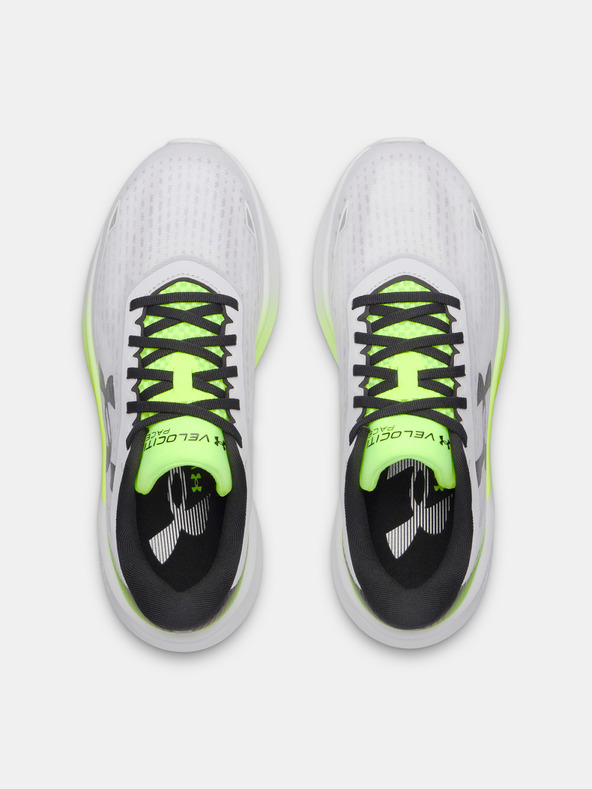 Under Armour Muške cipele Under Armour UA Velociti Pace