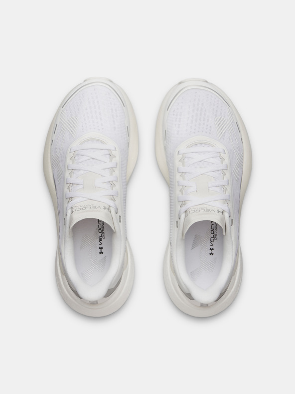 Under Armour Ženske cipele Under Armour UA W Velociti Distance