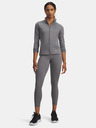 Under Armour Zenske legice Under Armour Motion Mesh Ankle Legging