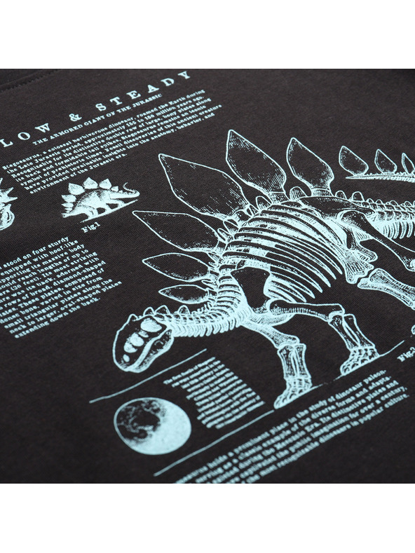 ALPINE PRO Dječje majice od organske pamučne ALPINE PRO ECCO 2 black varijanta pf