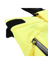 ALPINE PRO Muške skijaške hlače s membranom ptx ALPINE PRO LERMON nano yellow