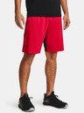 Under Armour Muske sortice Under Armour Raid 2.0 Shorts