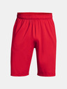 Under Armour Muske sortice Under Armour Raid 2.0 Shorts