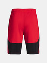 Under Armour Muske sortice Under Armour Raid 2.0 Shorts