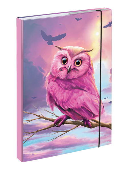 BAAGL  BAAGL Mape za školske sveske A4 Sova