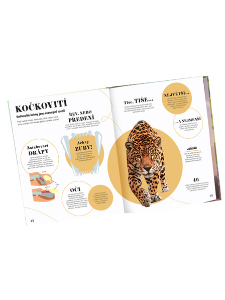 ELLA & MAX 5 MINUTA I ZNAM: PRIRODA – 1000+ osnovnih informacija