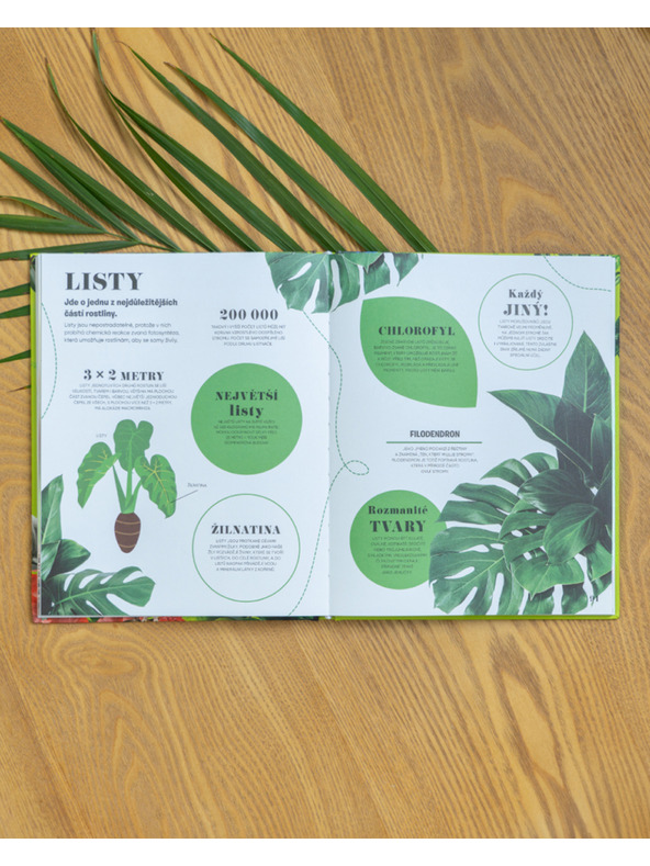 ELLA & MAX 5 MINUTA I ZNAM: PRIRODA – 1000+ osnovnih informacija