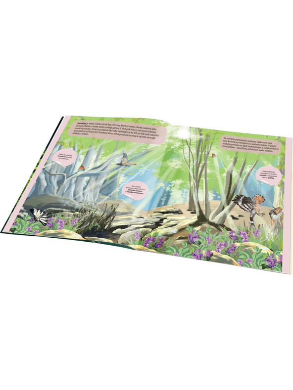 ELLA & MAX ČAROBNI SVIJET ŠUME – Knjiga naljepki