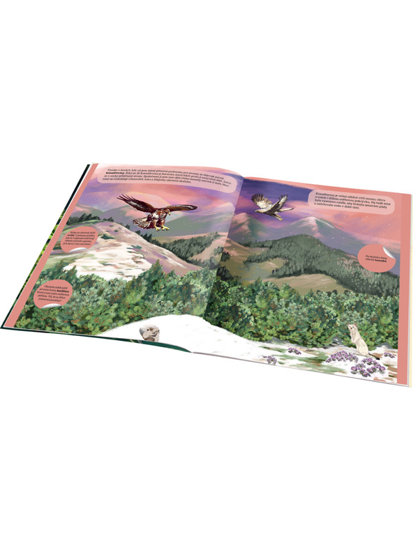 ELLA & MAX ČAROBNI SVIJET ŠUME – Knjiga naljepki