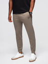 Ombre Clothing Muške trenirke s rebrastim nogavicama i gumenim printom - pepeljasto sive V3 OM-PASK-0223 Ombre Clothing