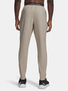 Under Armour Muške sportske hlače Under Armour Vanish Training Pant-BRN