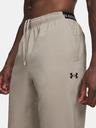 Under Armour Muške sportske hlače Under Armour Vanish Training Pant-BRN