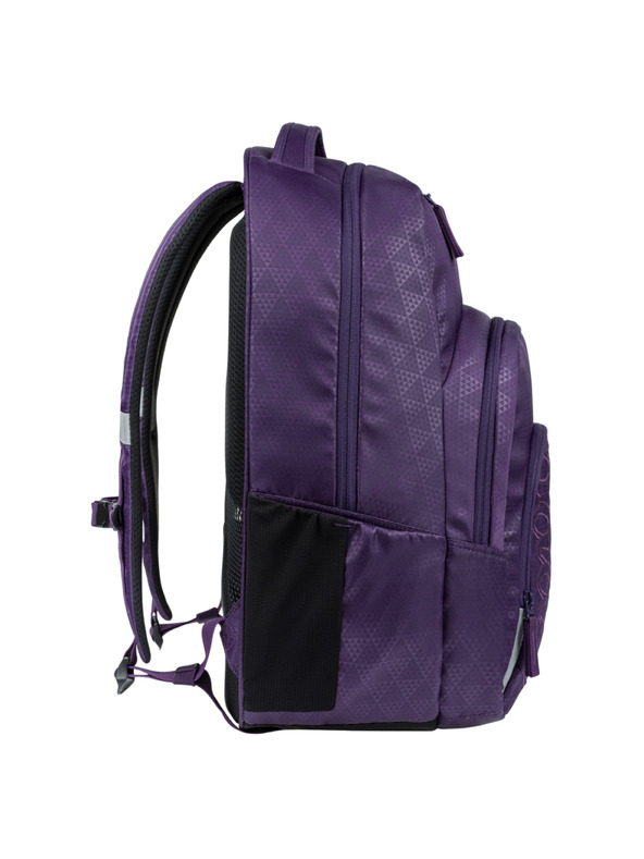 BAAGL  BAAGL Školski ruksak Coolmate Plum