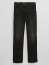 GAP Traperice loose Mid Rise Distressed '90s GAP