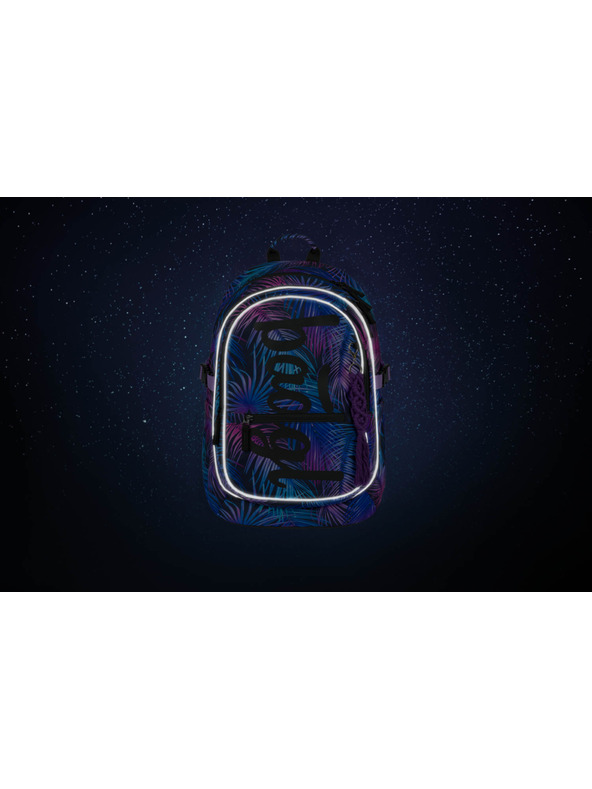 BAAGL  BAAGL Školski ruksak Core Palm