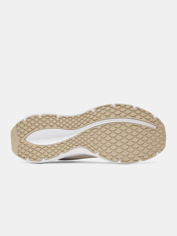 Under Armour Muške čizme Under Armour UA Ascend