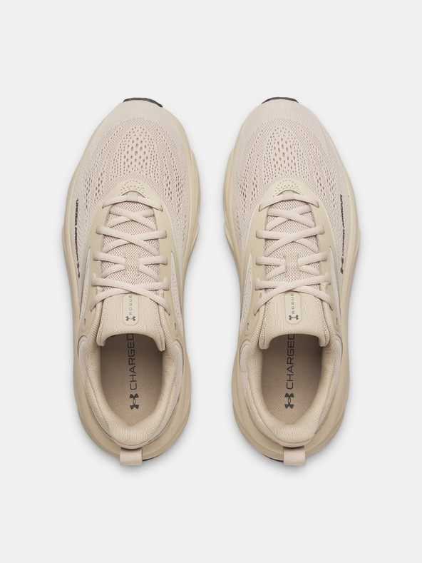 Under Armour Muške čizme Under Armour UA Rogue 6