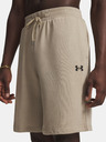 Under Armour Muske sortice Under Armour UA Rival LW Shorts
