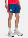 Under Armour Muške kratke hlače Under Armour UA 96 Terrace Country Short