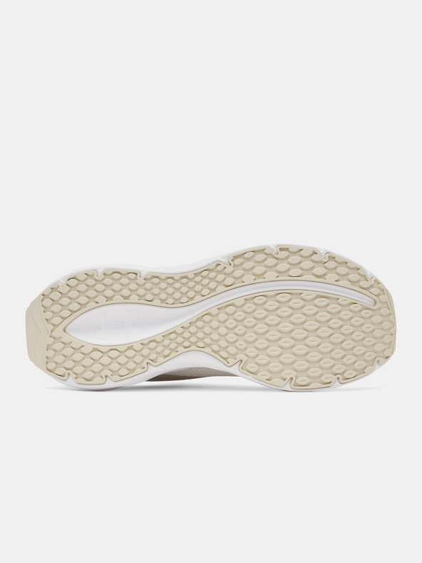 Under Armour Ženske cipele Under Armour UA W Ascend