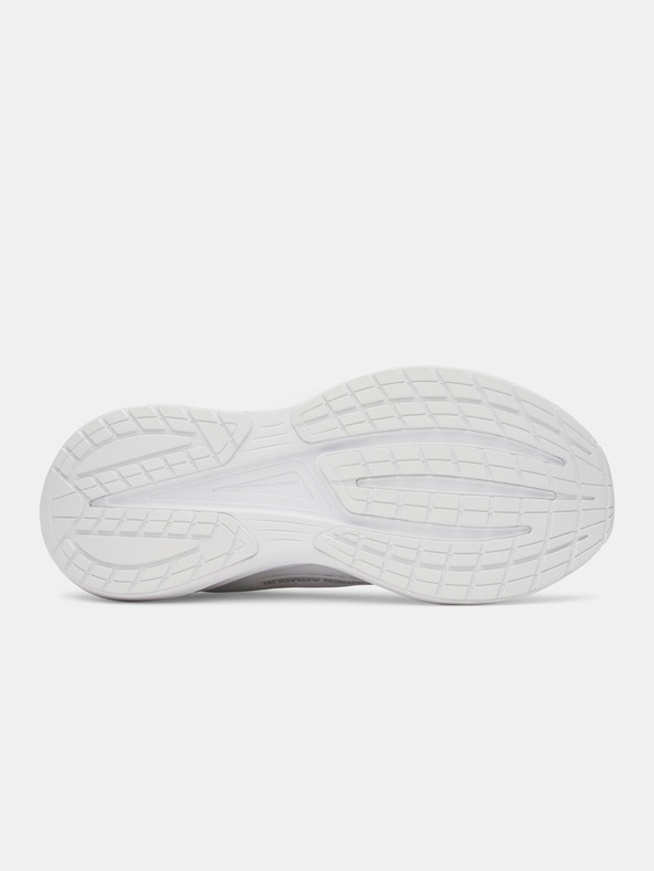 Under Armour Ženske cipele Under Armour UA W Velociti Pace