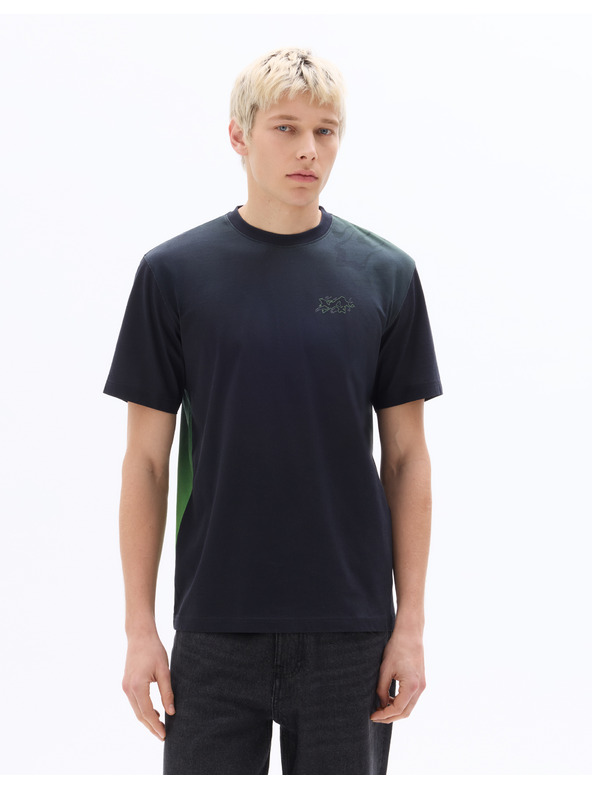 Celio Majica Pokémon