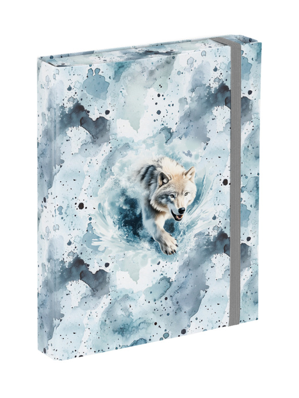 BAAGL  BAAGL Mape za školske bilježnice A5 Polar