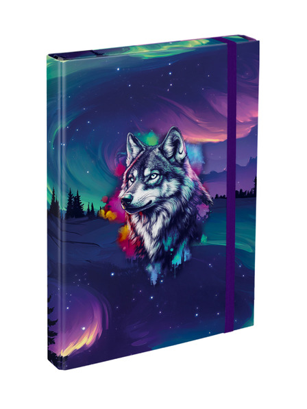 BAAGL  BAAGL Mape za školske bilježnice A4 Aurora