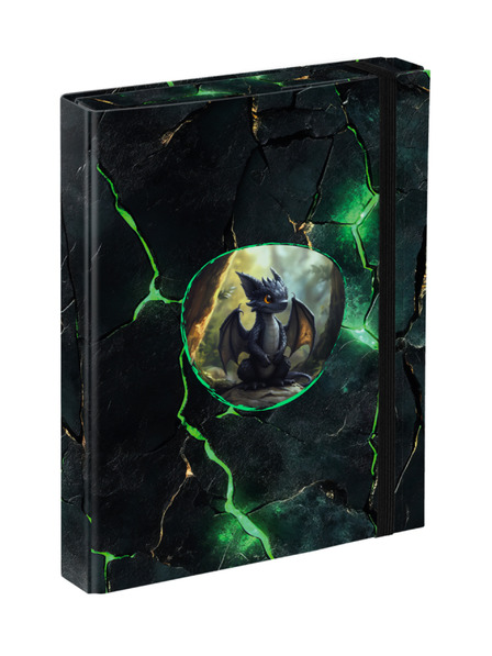 BAAGL  BAAGL Mape za školske bilježnice A5 Zmajevi