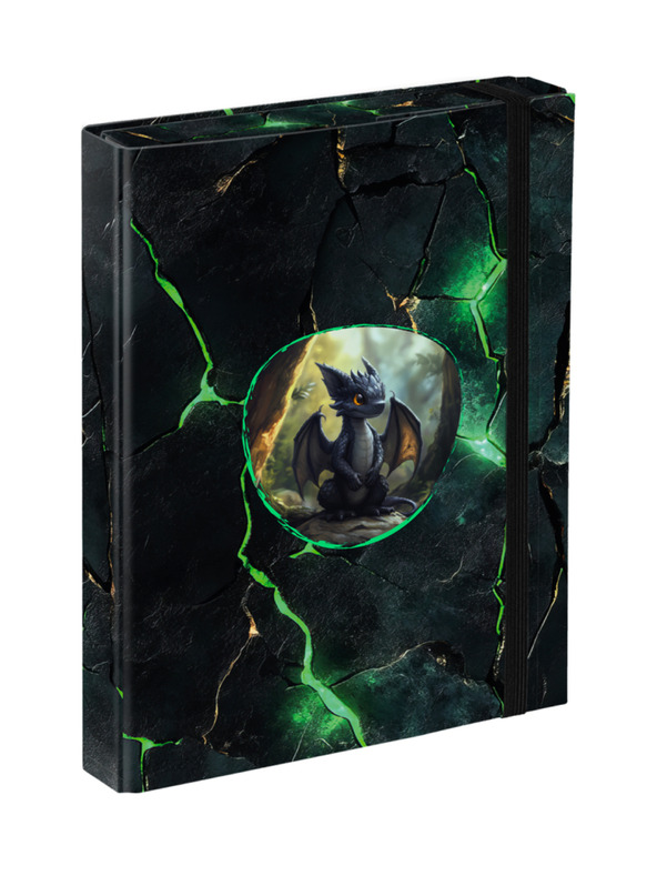 BAAGL  BAAGL Mape za školske bilježnice A5 Zmajevi