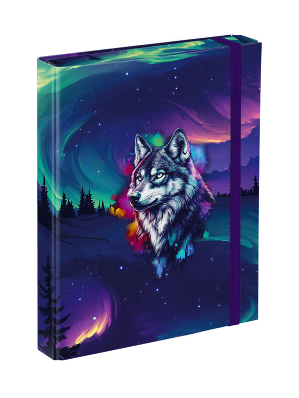 BAAGL  BAAGL Mape za školske bilježnice A5 Aurora