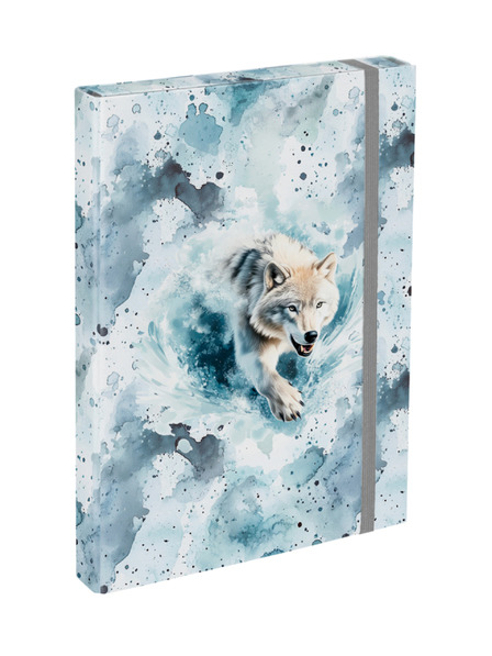 BAAGL  BAAGL Mape za školske bilježnice A4 Polar