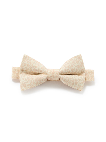 Celio Leptir Nibowaop1