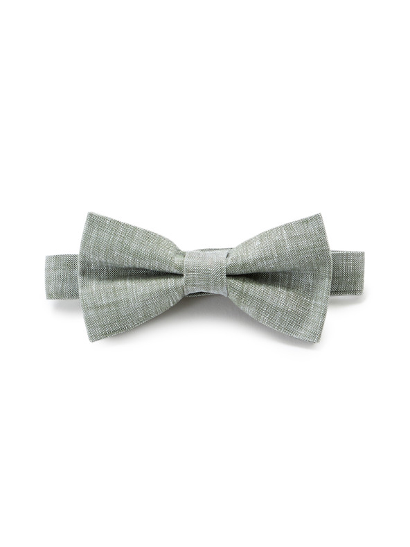 Celio Leptir Nibowlinu