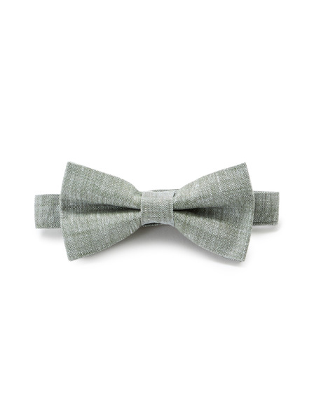 Celio Leptir Nibowlinu