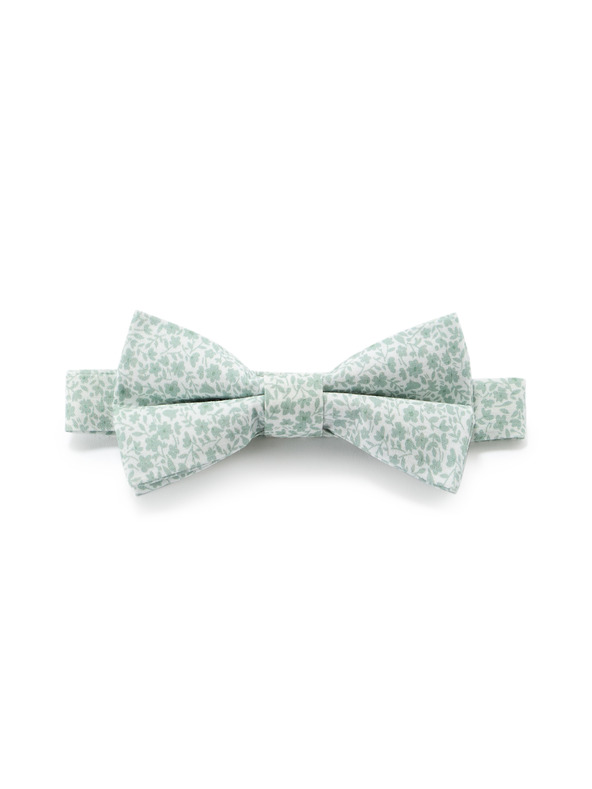 Celio Leptir Nibowaop1