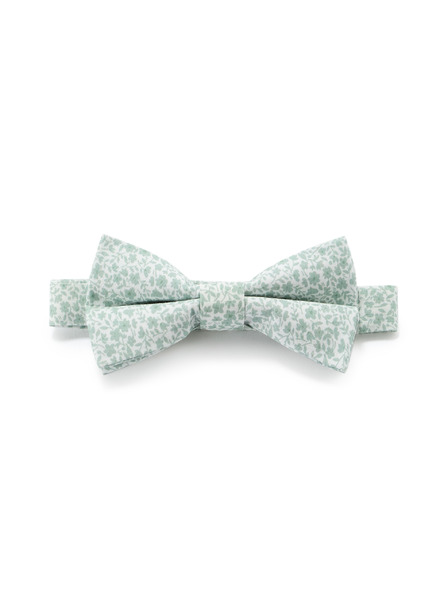 Celio Leptir Nibowaop1