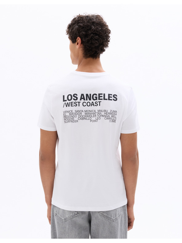 Celio Majica Nescructur