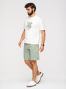 Ombre Clothing Muške šorts REGULAR FIT od francuskog froté pletiva - pastelno zelene V3 OM-SRSK-0196 Ombre Clothing