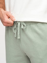 Ombre Clothing Muške šorts REGULAR FIT od francuskog froté pletiva - pastelno zelene V3 OM-SRSK-0196 Ombre Clothing