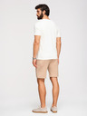 Ombre Clothing Muške šorts REGULAR FIT od glatkog pletiva - bež V3 OM-SRBC-0153 Ombre Clothing